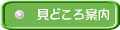 見どころ案内
