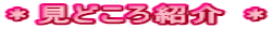 ＊見どころ紹介 ＊